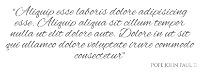“Aliquip esse laboris dolore adipisicing esse. Aliquip aliqua sit cillum tempor nulla ut elit dolore aute. Dolore in ut sit qui ullamco dolore voluptate irure commodo consectetur” Pope John Paul II